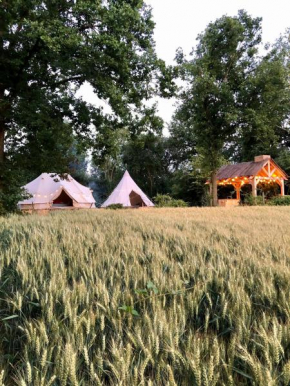 Cowcooning / Family tents